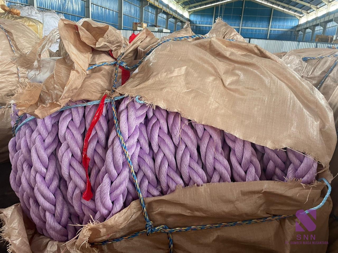 PP Rope Danline 220M